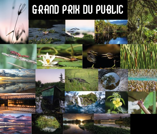 Concours photo « Les zones humides de La Réunion » - Grand Prix du public