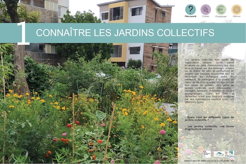 Guide : Mener à bien un jardin collectif à La Réunion