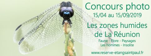Annonce concours photo - les zones humides de La Réunion