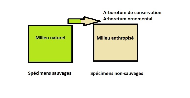 Critère 2 - destination (cas 2)