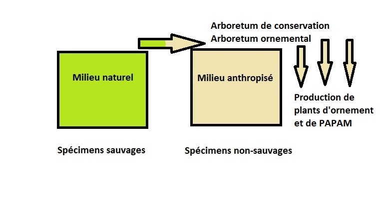 Critère 2 - destination (cas 3)