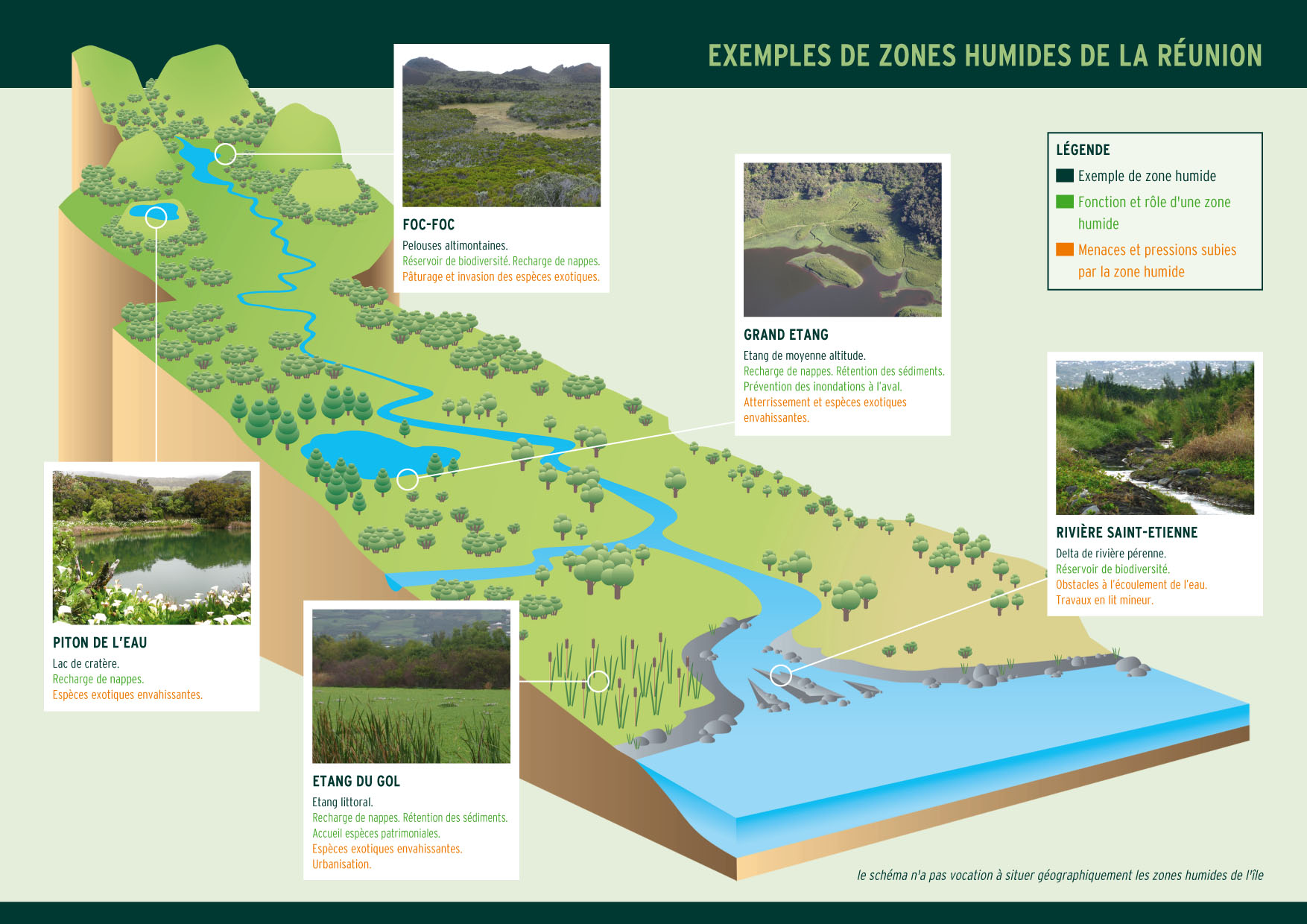Exemples de distribution amont/aval des principaux types de zones humides de La Réunion