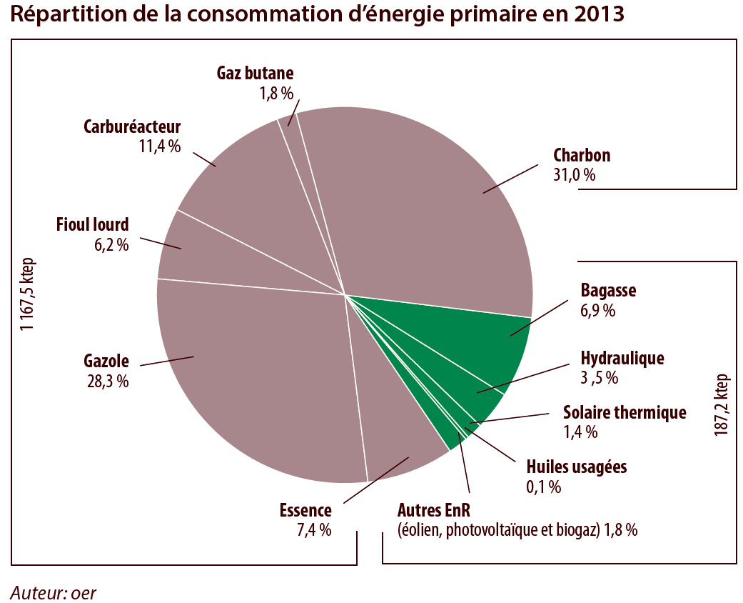 Répartition de la consommation d’énergie primaire en 2013