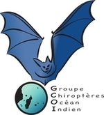 Logo du GCOI