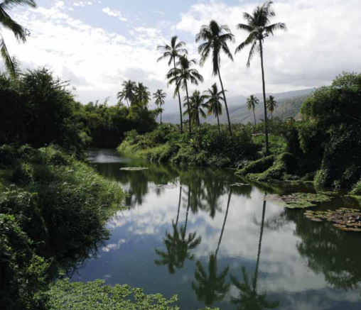 Site Ramsar Etang Saint-Paul