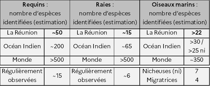 Tableau 2 des nombres d'espèces identifiées (requins, raies, oiseaux marins) - voir la transcription ci-dessous